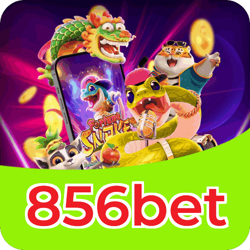 Métodos de pagamento aceitos na 856bet