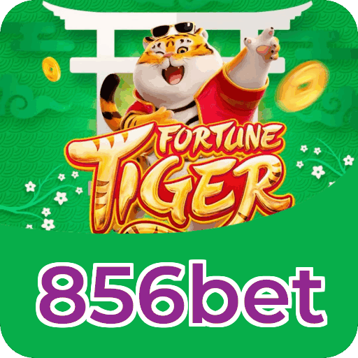 Equipe de suporte ao cliente da 856bet