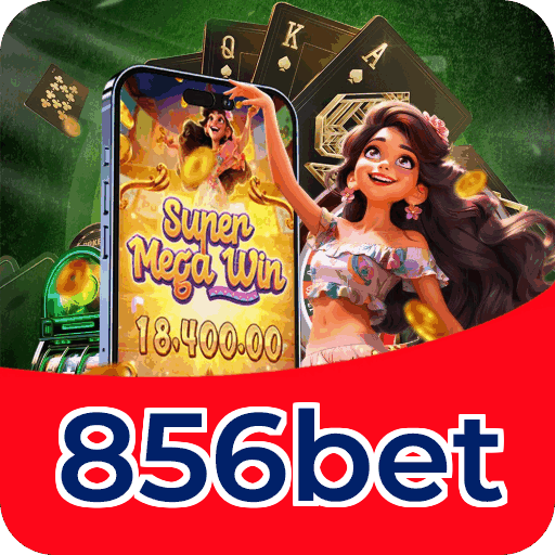 Programa VIP 856bet